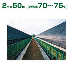 ダイオ化成 遮光ネット 黒 ダイオシート 10号 （遮光率70〜75%） 2m×50m 農業用 園芸...