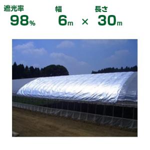 ダイオ ダイオ化成 遮光ネット シルバー×黒 ダイオミラー 95HB-6（遮光