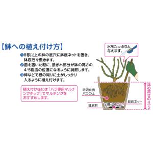 花ごころ 特選有機 バラの土 Sensatio...の詳細画像4