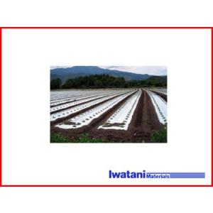 岩谷マテリアル (12巻セット特価) イワタニ 三層 菜園用 防虫シルバー