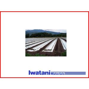 イワタニ三層シルバーポリ(シルバーマルチ) 防虫マルチ 厚み0.03mm 幅