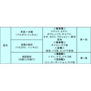 クラレ クレモナ寒冷紗 #610 黒 180c...の詳細画像3
