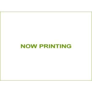 永田 散水ノズルNG-20用竹の子