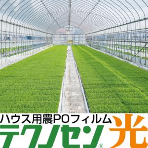 スソ・サイド専用農業用POフィルム タフサイド 厚さ0.15mm 幅185cm 長 