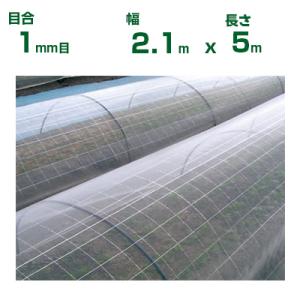 シンセイ 防虫ネット(カット物) 1mm目 1.35m×5m (農業用)(園芸用)(農業