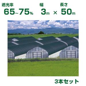 個人宅OK シンセイ 国産 寒冷紗 白 210cm X 50m 2本 2.1m 農業資材