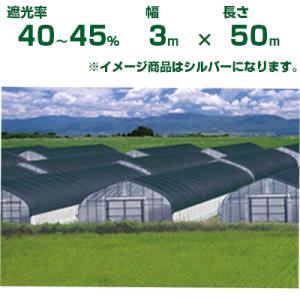 クラレ（kuraray） クレモナ寒冷紗 #610 黒 180cm X 100m 遮光率 約50