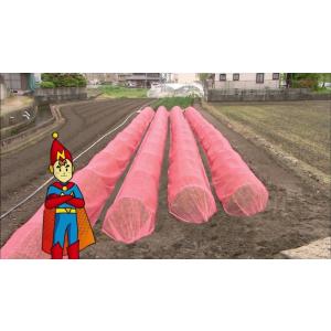 個人宅配送OK 日本ワイドクロス 防虫ネット ...の詳細画像3