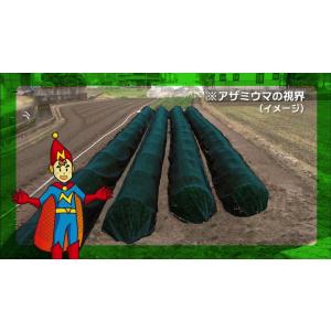 個人宅配送OK 日本ワイドクロス 防虫ネット ...の詳細画像4