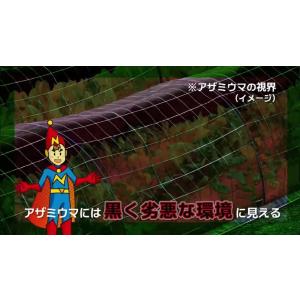 個人宅配送OK 日本ワイドクロス 防虫ネット ...の詳細画像5