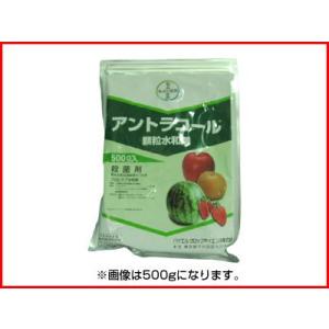 (農薬) アントラコール 顆粒水和剤 1kg (園芸用 殺菌剤) リンゴ 斑点落葉病 褐斑病 梨 黒...