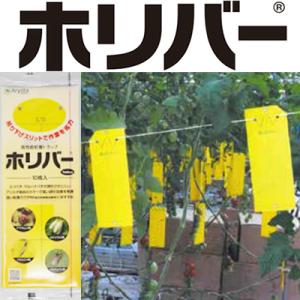ホリバー （誘引 粘着板） ホリバーイエロー 10枚 黄 害虫モニタリング 害虫全般 コナジラミ アブラムシ ハモグリバエ アザミウマ トラップ