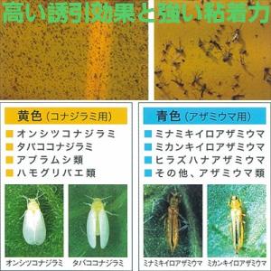 ホリバー (誘引 粘着板) ホリバーイエロー ...の詳細画像1