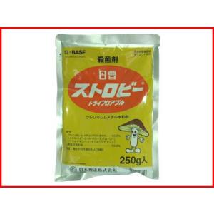 (農薬) ストロビー ドライフロアブル 250g (園芸用 殺菌剤) りんご 梨 黒星病菌 かんきつ ぶどう 果樹 混用