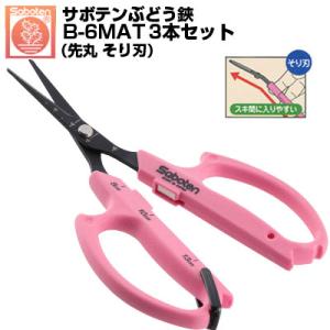 (送料無料でお得な3本セット) ぶどう鋏 サボテン 先丸 そり刃 NO.B-6MAT 磁力で自動で開く鋏 (サボテン ぶどう はさみ 摘粒 房作 収穫 目盛付 軽量 ぶどう農家)｜アグリズ Yahoo!ショッピング店