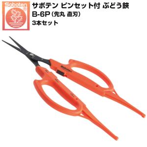(3本セット) サボテン ぶどう鋏 ピンセット付 直刃 B-6P ぶどうはさみ 摘粒 摘果 収穫鋏 ジベ処理 マーキング 葡萄 園芸はさみ 軽量 フッ素コート 日本製