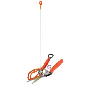 (最短当日発送) サボテン アスパラ収穫はさみ NO.AG-21 サボテン アスパラ収穫鋏 ものさし...