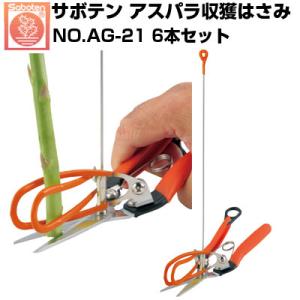 (送料無料でお得な6本セット) サボテン アスパラ収穫はさみ NO.AG-21(サボテン アスパラ収穫鋏 収穫目安ものさし付 やさしくつかむ ステンレス刃 効率UP)｜アグリズ Yahoo!ショッピング店