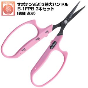 (送料無料でお得な3本セット) ぶどう鋏 サボテン 直刃 大ハンドル NO.B-1FPB (ぶどう鋏 摘粒 房作 収穫 目盛付  ステンレス フッ素樹脂加工 先細  ぶどう農家)｜アグリズ Yahoo!ショッピング店