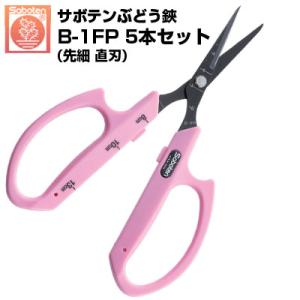 (送料無料でお得な5本セット) ぶどう鋏 サボテン 直刃 NO.B-1FP (サボテン ぶどうはさみ  摘粒 房作 収穫 目盛付 軽量 ステンレス フッ素コート 疲れにくい)｜アグリズ Yahoo!ショッピング店