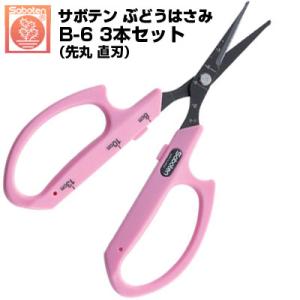 (送料無料のお得な3本セット) ぶどう鋏 サボテン 先丸 直刃 NO.B-6 (ぶどうはさみ 摘粒 房作 収穫 目盛付  軽量 ステンレス フッ素コート 極細 ぶどう農家)｜アグリズ Yahoo!ショッピング店