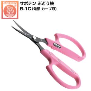サボテン ぶどう鋏 先細 カーブ刃 B-1C ぶどうはさみ 摘粒 摘果 収穫鋏 傷つけにくい 目盛付 葡萄 園芸はさみ 軽量 45g フッ素コート 日本製