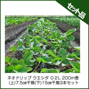 NETAFIM ネタフィム ユニラムRC 点滴チューブ 20cmピッチ 2.3L/時 200m