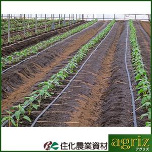 潅水チューブ ネオドリップ 住化農業資材 ヨコシタ 04L 200m巻 (上