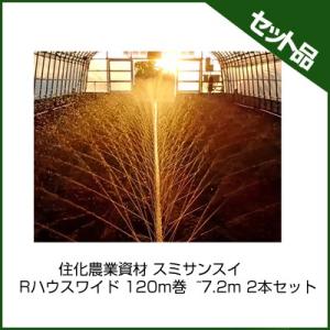 潅水チューブ スミサンスイ 潅水チューブ 住化農業資材 スミサンスイ Rハウスワイド 120m巻 ~7.2m 2本セット 潅水チューブ 灌水チューブ