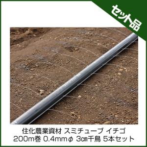 潅水チューブ スミチューブ 潅水チューブ 住化農業資材 スミチューブ25 イチゴ 200m巻 0.4mmφ 3cm千鳥 5本セット 潅水チューブ 灌水チューブ