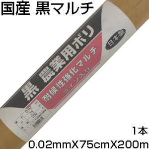 ホールマルチ 3430 銀ネズ パック売り3本 穴あきマルチ （4列30cm