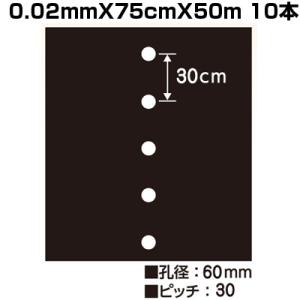 個人宅OK シンセイ 有孔 黒マルチ 3715 0.02mm X 135cm 50m 10本 穴
