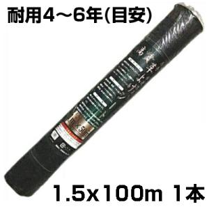 エバラ 水中ポンプ 100V 200V 汚水用 排水ポンプ 50DWS5.4SB 50DWS5.4B