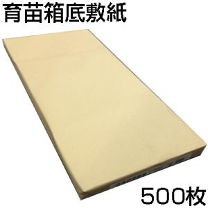100枚 ワンタッチシート 育苗箱用底敷紙 ポリエチレン製 日A DZ : 農業 