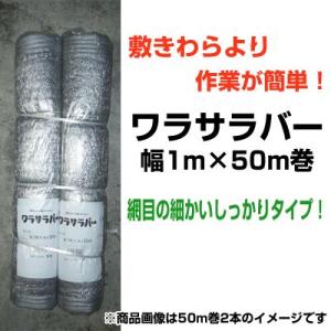 クラレ 寒冷紗 600mm x 180cm x 10m（2反） クラレ（kuraray） クレモナ寒冷紗 #610 黒 180cm X 100m 遮光率 約50