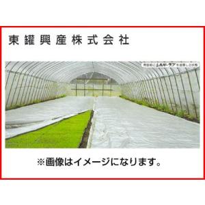 特注品につき在庫お問い合わせください 東罐 トーカン