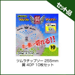 シンゲン めちゃかる スーパー林童 255×40P 1枚組 : プランハーベ 