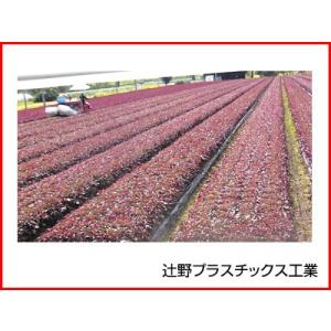 透明農ポリ 0.02mm×210cm×200m 3本入の買取情報