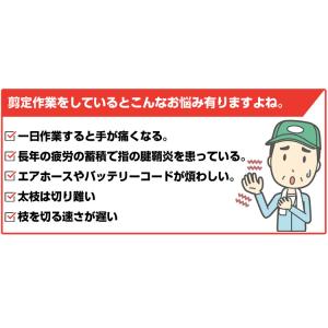 高枝切はさみ 電動剪定バサミ バイン P32e...の詳細画像2