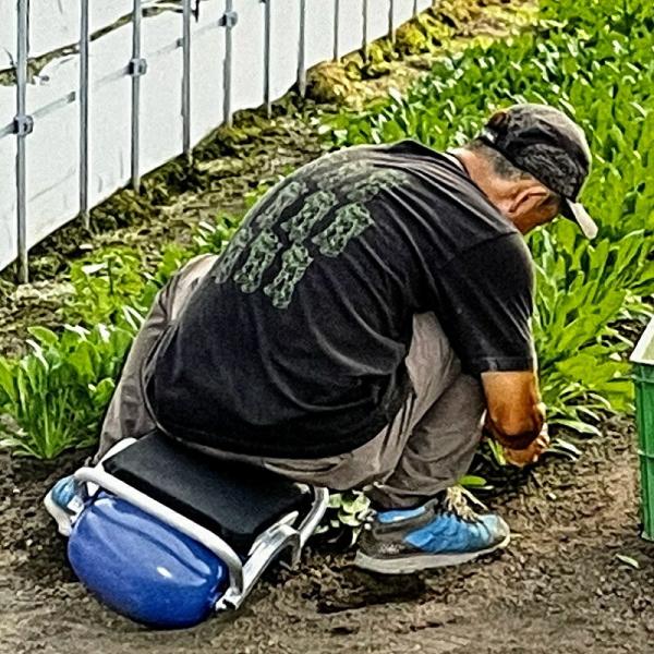 ハラックス スワット RSA-250 コロ丸 乗用作業車スイングタイプ