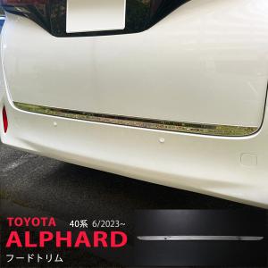 オートパーツエージェンシー リアバンパーガーニッシュ トヨタ