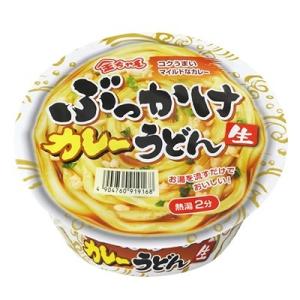 徳島製粉 金ちゃんぶっかけカレーうどん ×12食入