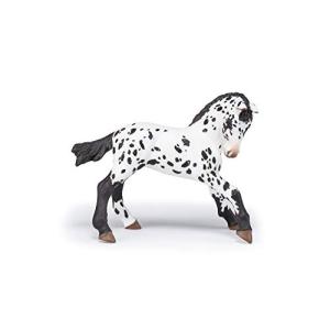 EKKIA 乗馬用具 ブラック BLACK APPALOOSA FOAL/PCE 905051540 905051540