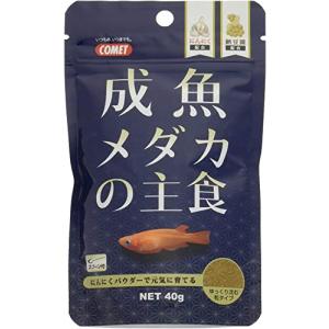 コメット 【メダカ成魚向け極小顆粒フード】 成魚メダカの主食40グラムの商品画像