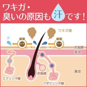 制汗剤 AHCセンシティブ50mlとAHCフォ...の詳細画像4