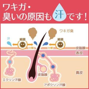制汗剤 AHCセンシティブ 30ml 2本セッ...の詳細画像5