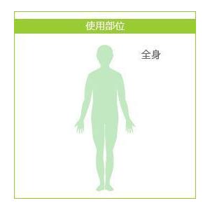 ブロメックス フォーマー 50ml (体臭 ワ...の詳細画像2