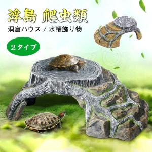 亀 水槽 レイアウトの商品一覧 通販 Yahoo ショッピング