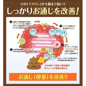 あじかん公式 機能性表示食品 ごぼう茶 健康茶...の詳細画像4