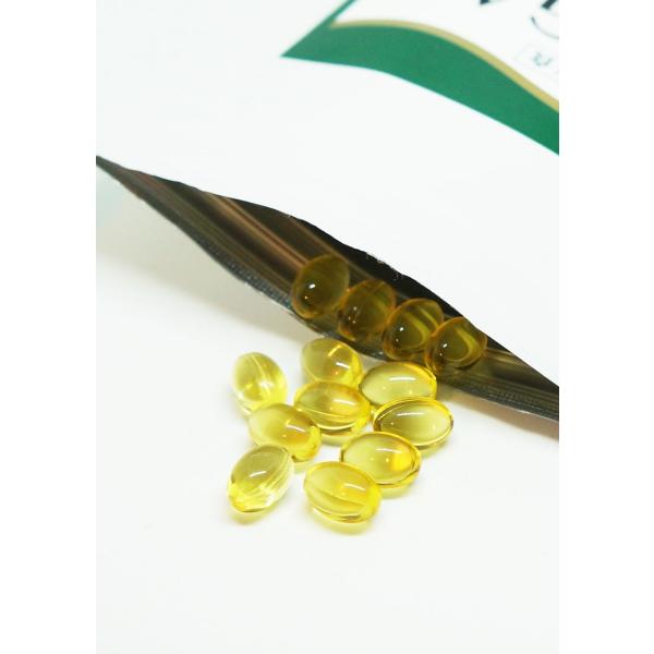 オメガ3脂肪酸 猫 犬用サプリメント アルジェオメガ 60粒